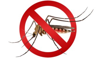 Realistic mosquito in red stop sign epidemic virus prevention concept vector illustration