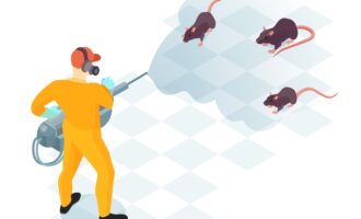 Worker of pest control service with professional equipment during domestic disinfection from rodents isometric vector illustration